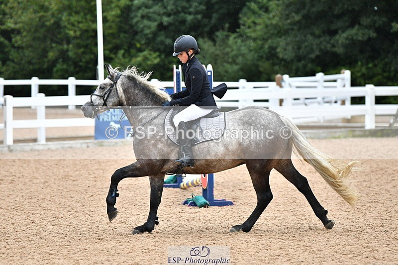 230819A-102058-00226 - Cls 21 Pony Brit Novice & 80cm Open