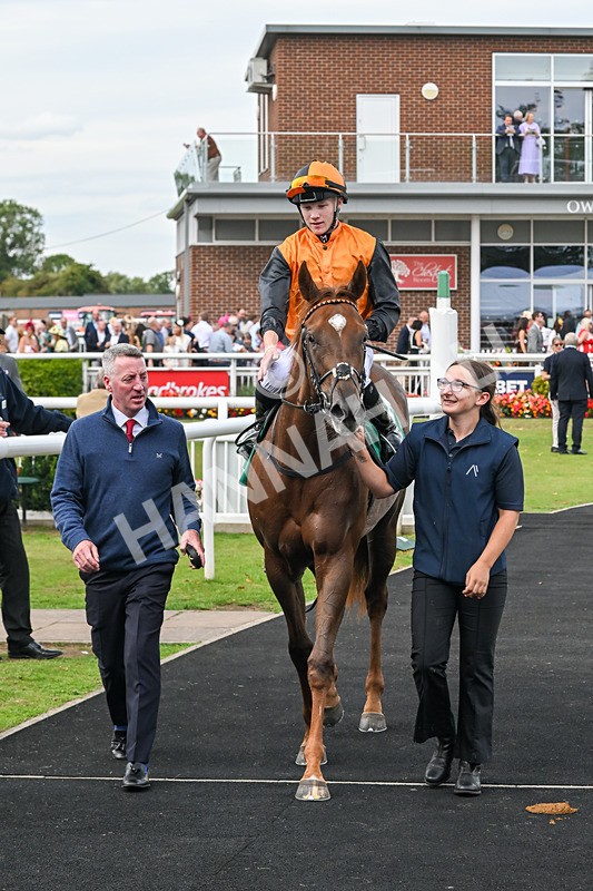 060925-Race 2-Dazzling Haze-4703 - Race 2