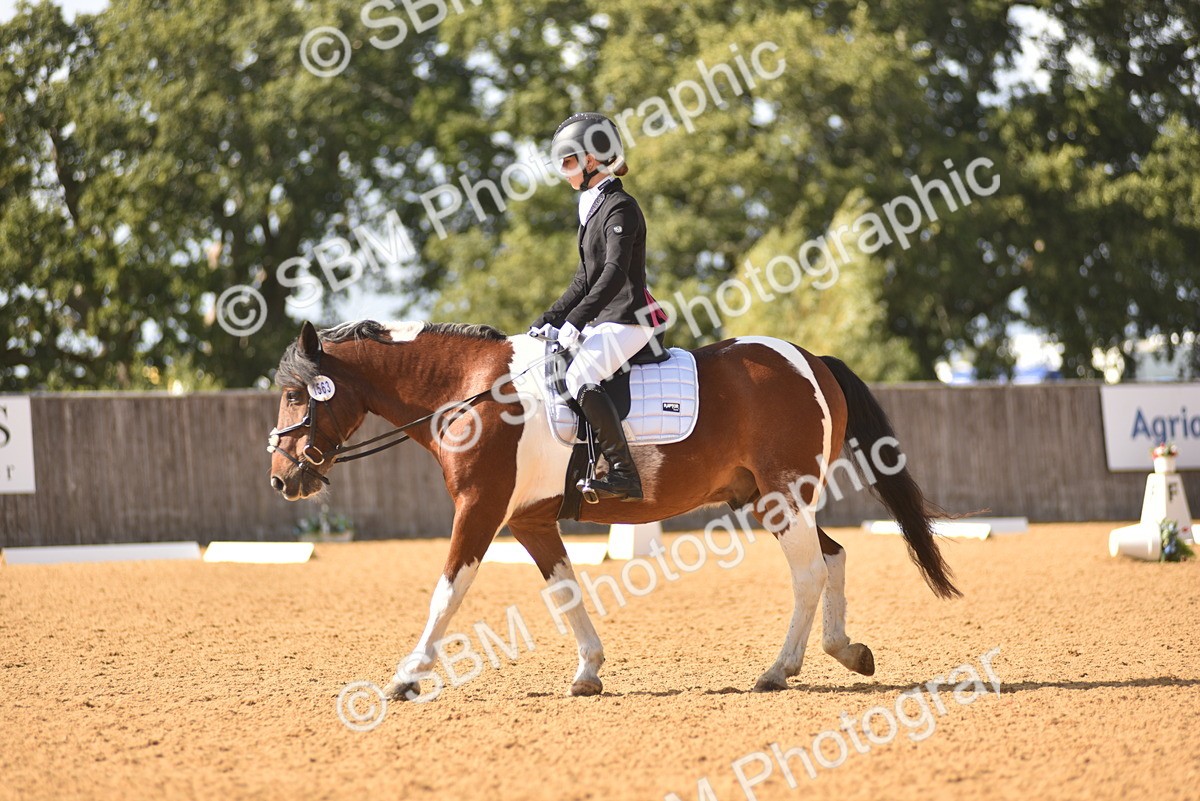 SBM_24255 - D4 - Small Tour Championship Intro 4