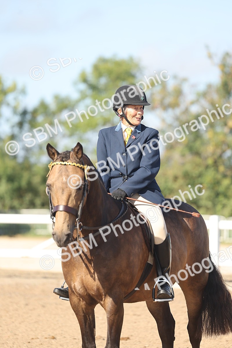 SBM_22325 - Class 803 - Ridden Combination 65+