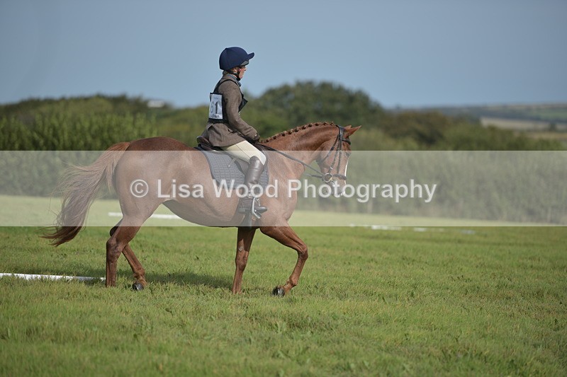 RAY_7883 - Class 2B: Trekenning Open: Dressage