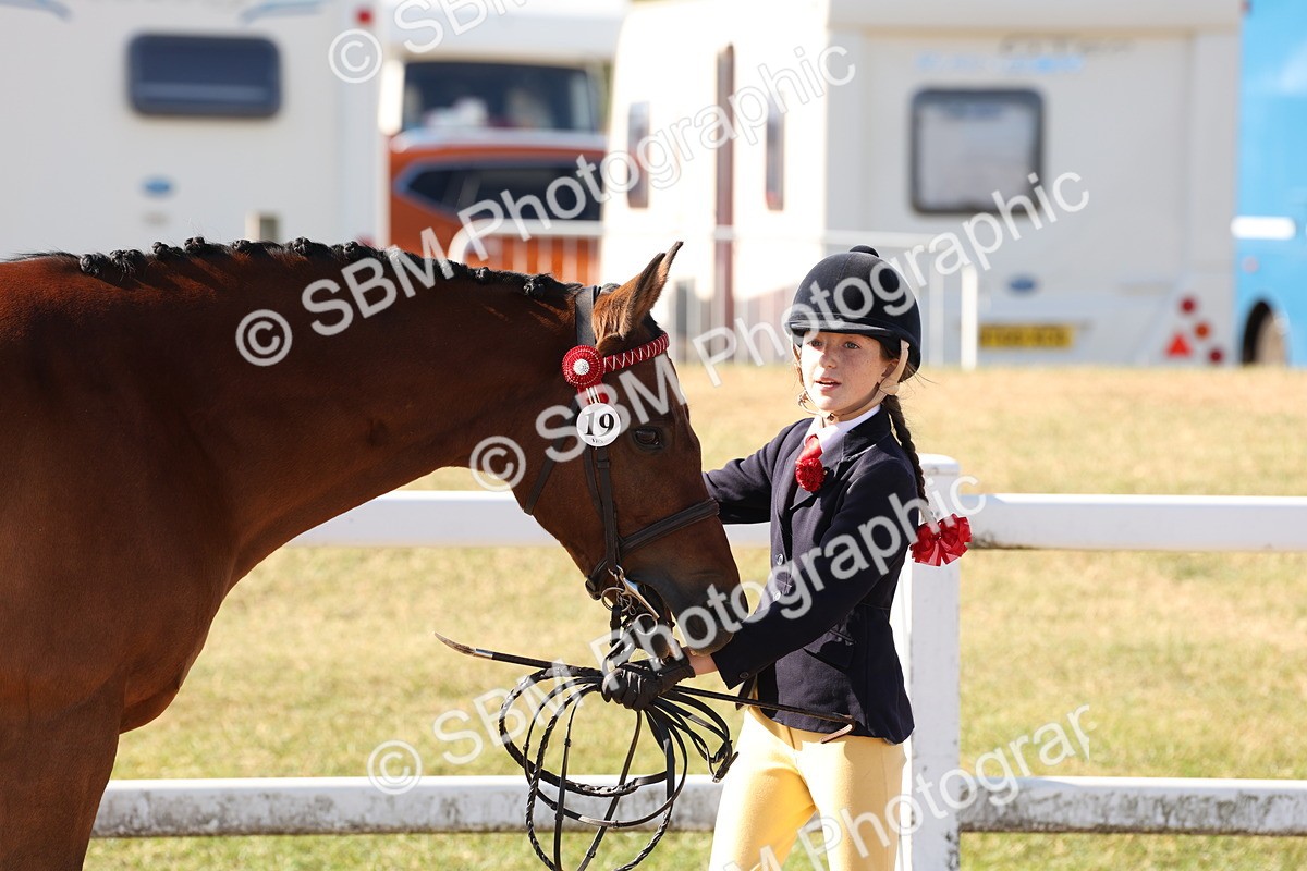 SBM_12838 - Class 205 - IH Show Pony - Show Hunter Pony