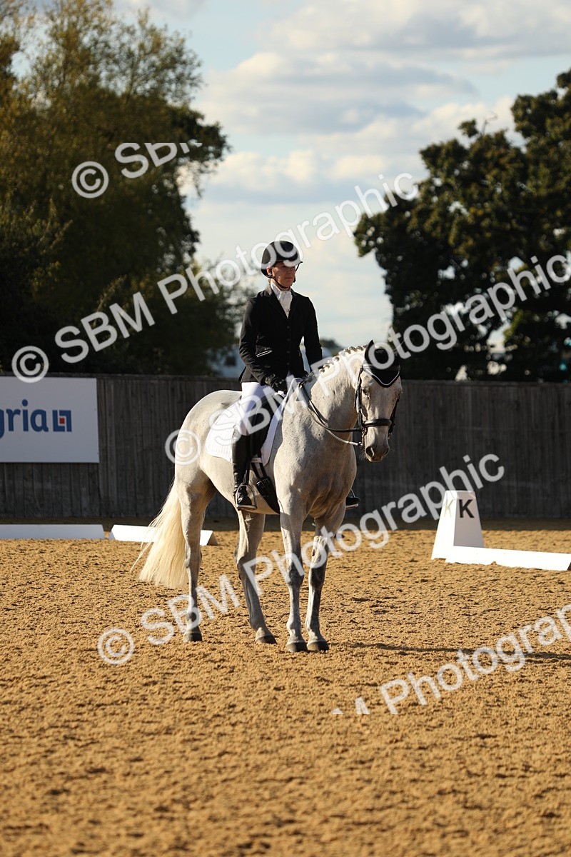 SBM_28602 - D20 - Grand Tour Championship - Elementary 44