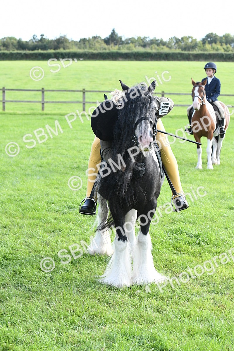 SBM_52037 - S21 - Novice & Newcomers 1st Ridden Pony