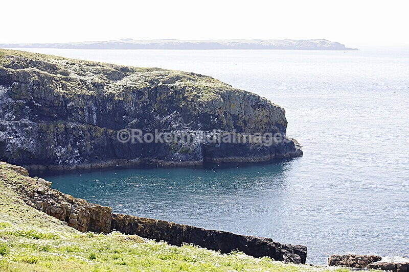 _56A7123 - Skomer 2019