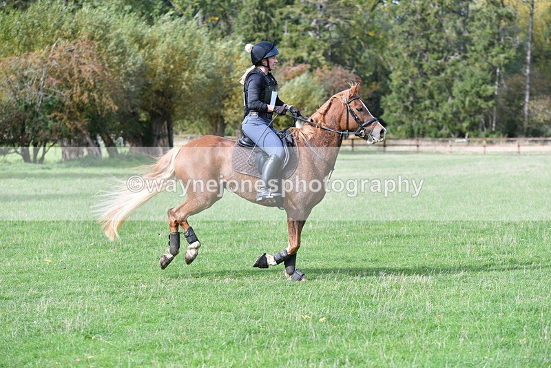 WJ5_0129 - Time 13:25 to 13:58