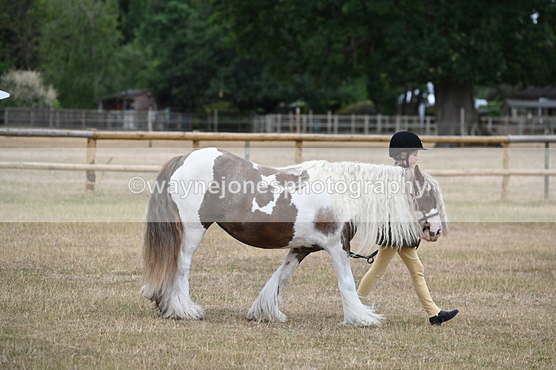 WJ6_7861 - Class 10 Coloured in Hand