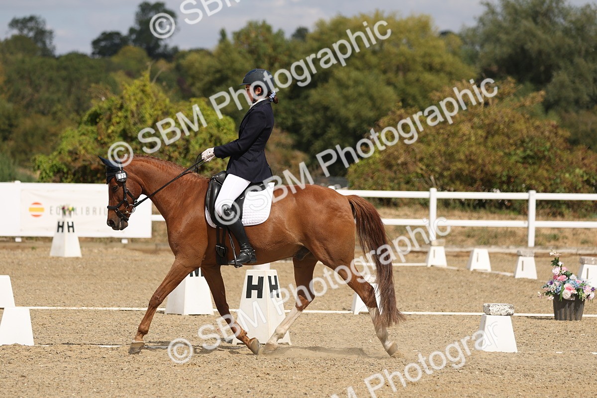 SBM_021910