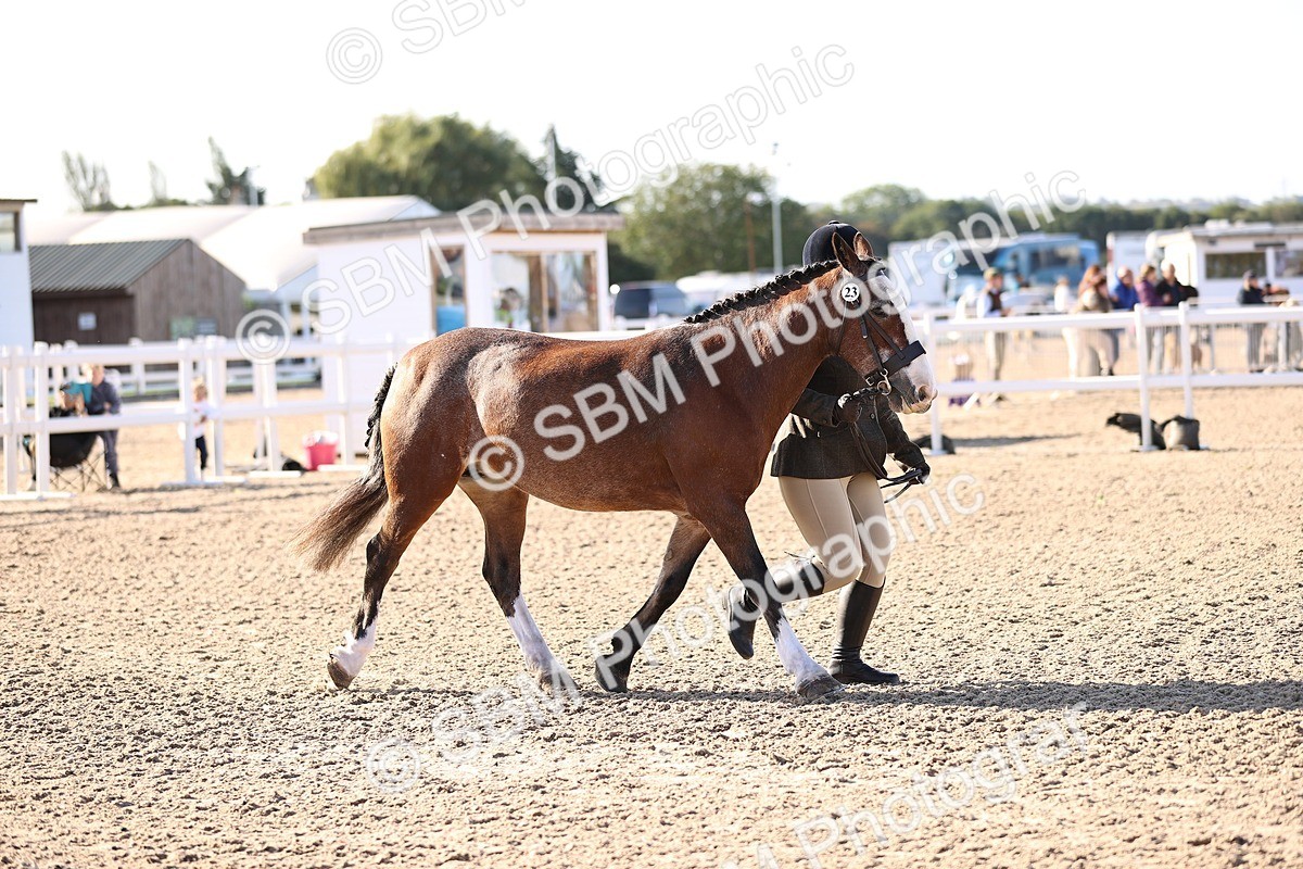 SBM_08475 - Class 402 - IH Veteran Pony