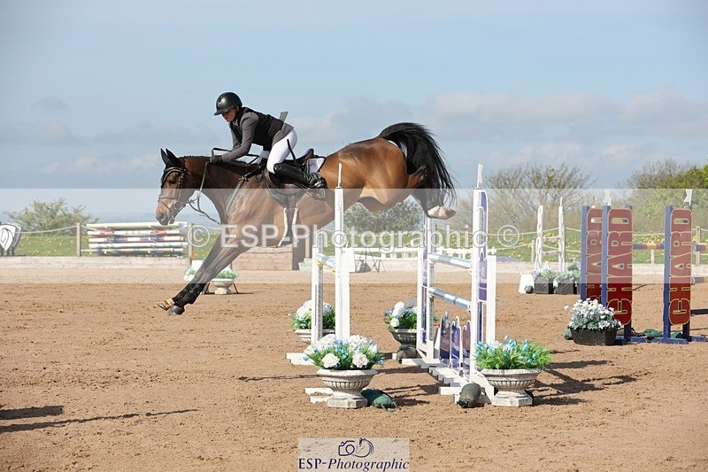 250427-100010-15193 - Cls 32 Young Horse 6yr old