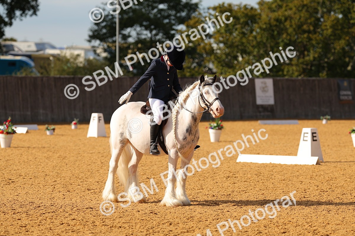 SBM_49673 - D22 - Junior Championship - Intro B