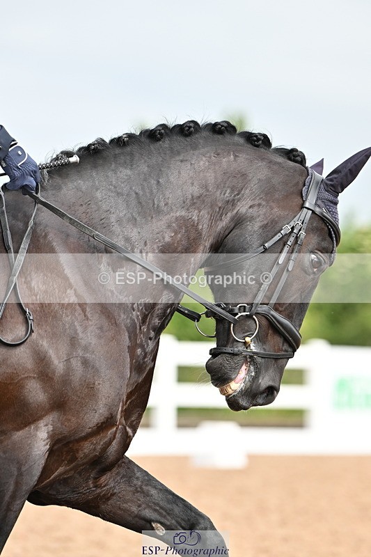 240623A-095708-15873 - Cls 44 BD Prelim 15