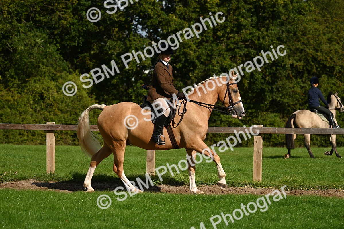 SBM_01421 - S2 - TSR Ridden Horse Showing