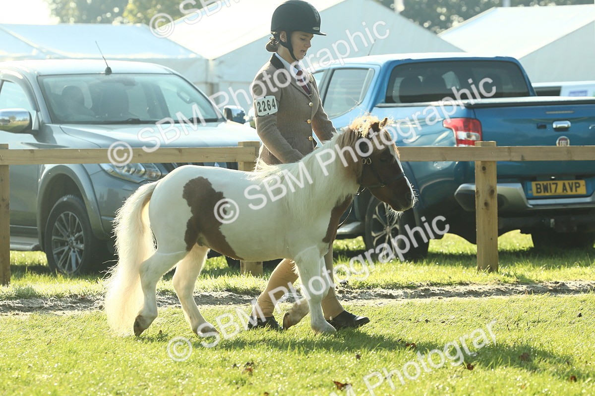 SBM_58547 - S37 - Starters In Hand Showing
