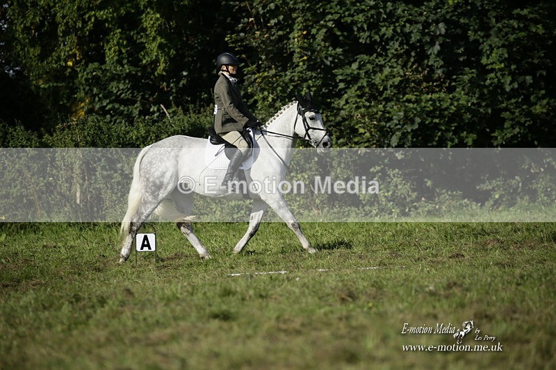 BVRC 120921 118 - Bourne Valley Riding Club UA Dressage & Show Jumping 12/09/21