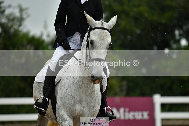 230708A-122746-02791 - Prelim 13