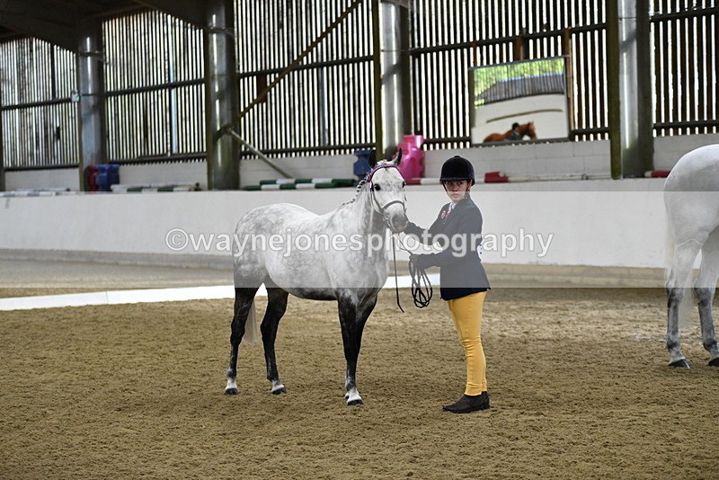 WJ5_3960 - Class 2 Best Condition In hand