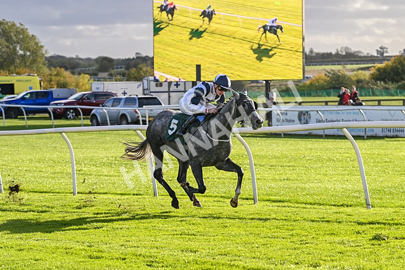 281025-Race 2-Grey Horizon-0893 - Race 2