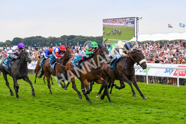 170623-Race 4-Quinault-0632 - Race 4 3.40pm Oakmere Homes Supporting Macmillan Sprint Handicap