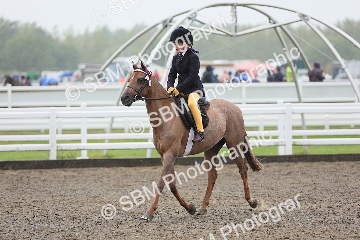 SBM_20590 - Class 804 - Ridden Veteran Pony