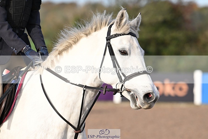 251022-100949-00020 - Clear Round & Cls 1 Brit Nov 90cm