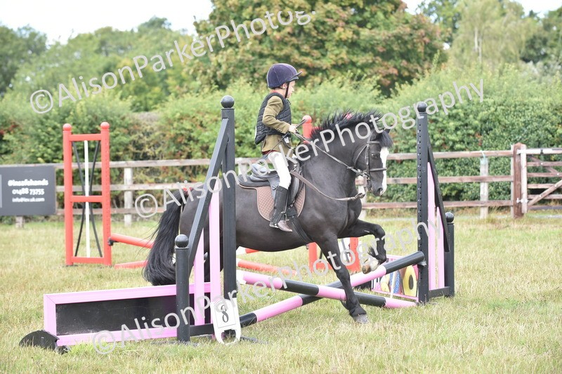 20250831-1826 - Class 8 - Hoof and Foot