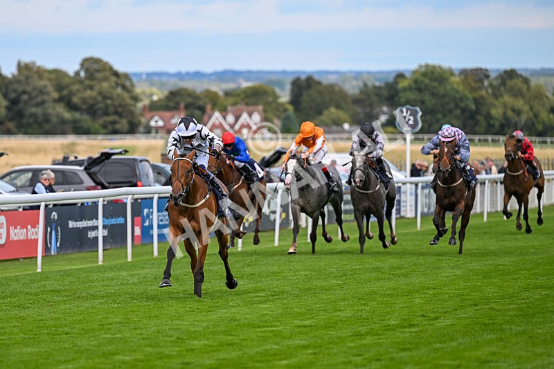 170925-Race 4-Dunkeld Dreamer-4874 - Race 4