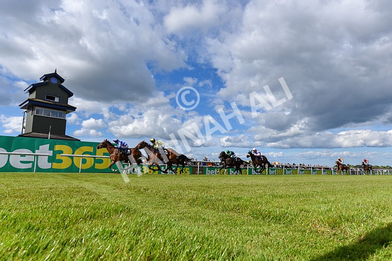 080624-Race 7-This Years Love-8307 - Race 7