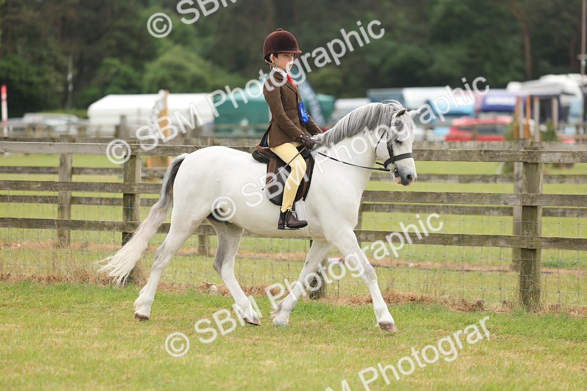 SBM_06919 - Class 74-75 - M&M Lead Rein and First Ridden Pony