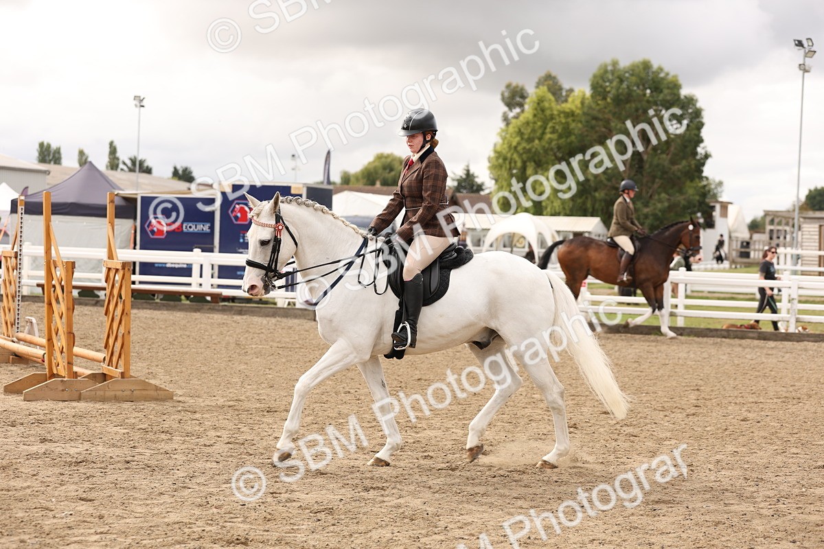 SBM_02825 - Class 53 - Ridden Competition Horse/Pony