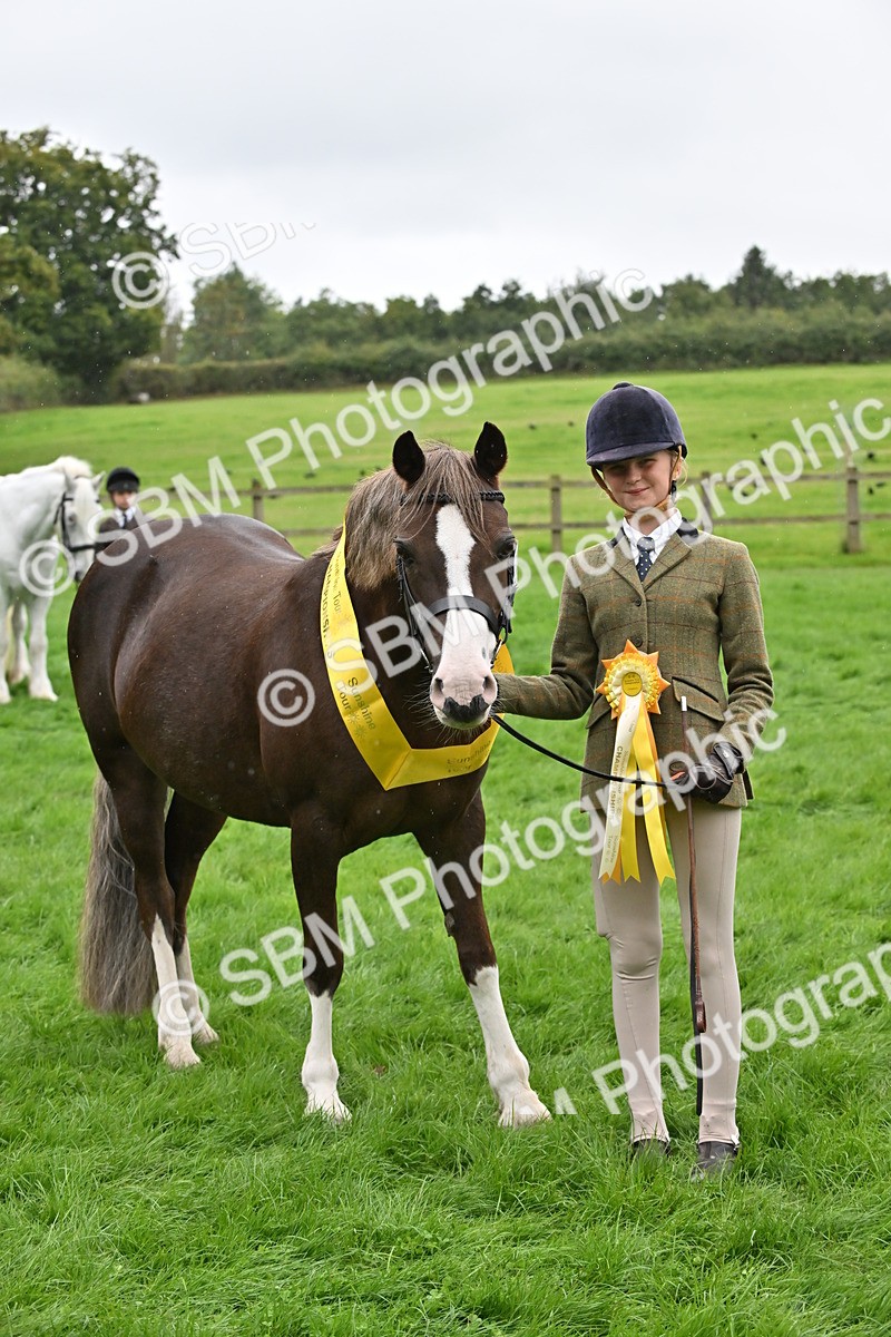 SBM_68613 - S42 - Junior Handler 9-12 Years