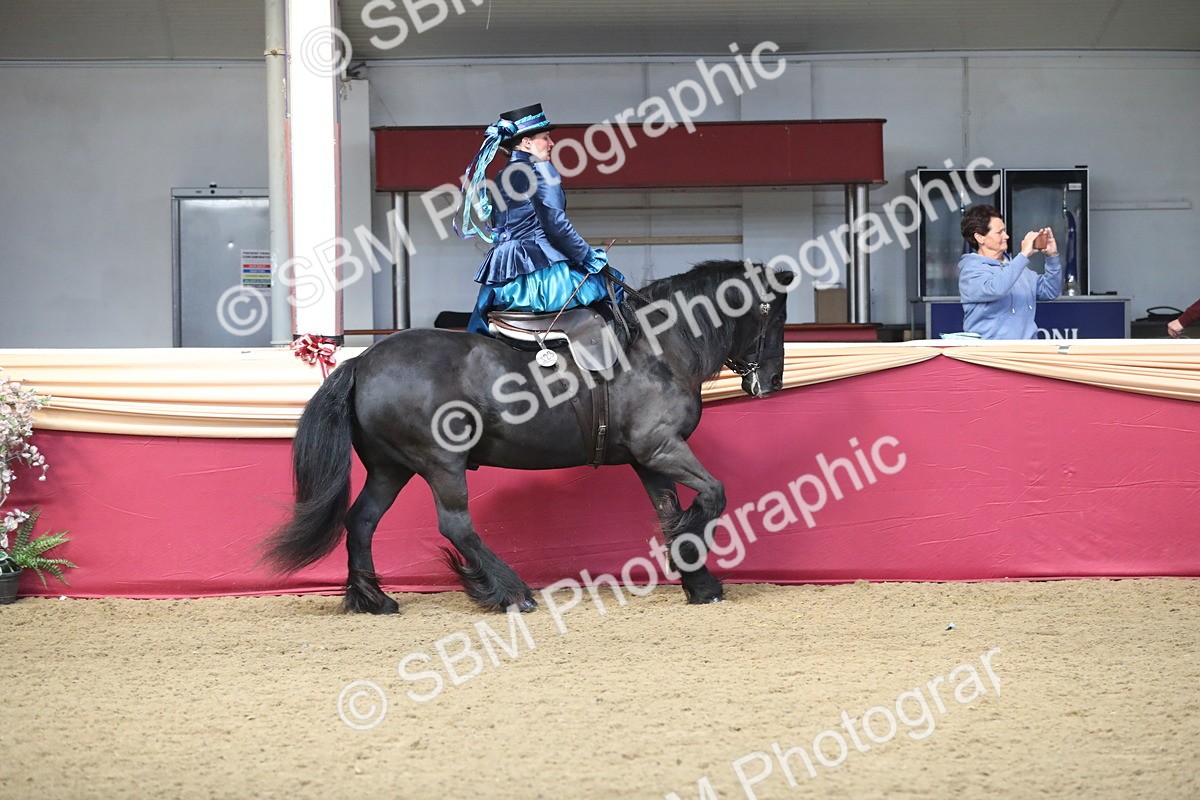 SBM_11566 - Class 105 Ridden Costume- Side Saddle