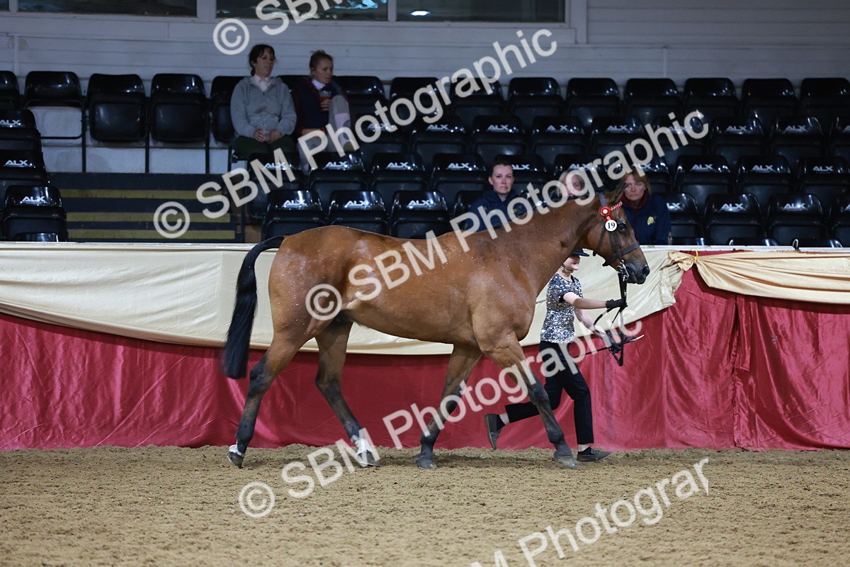 SBM_20000 - Class B - Junior Champ 11yr to 16 Years