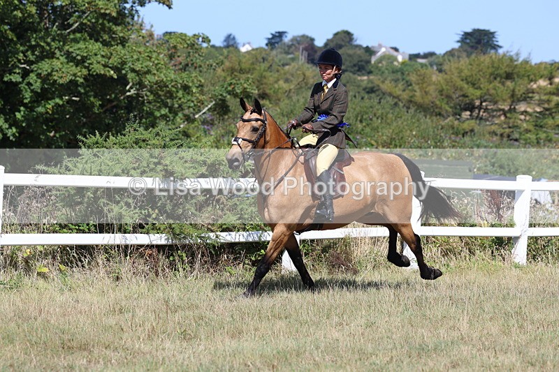 3E7A6428 - Working Hunter Championship