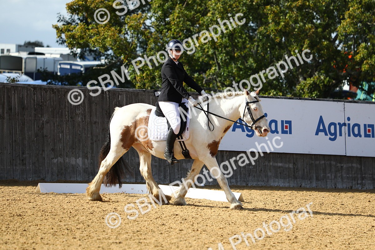 SBM_26663 - D11 - Small Tour Championship Prelim 1
