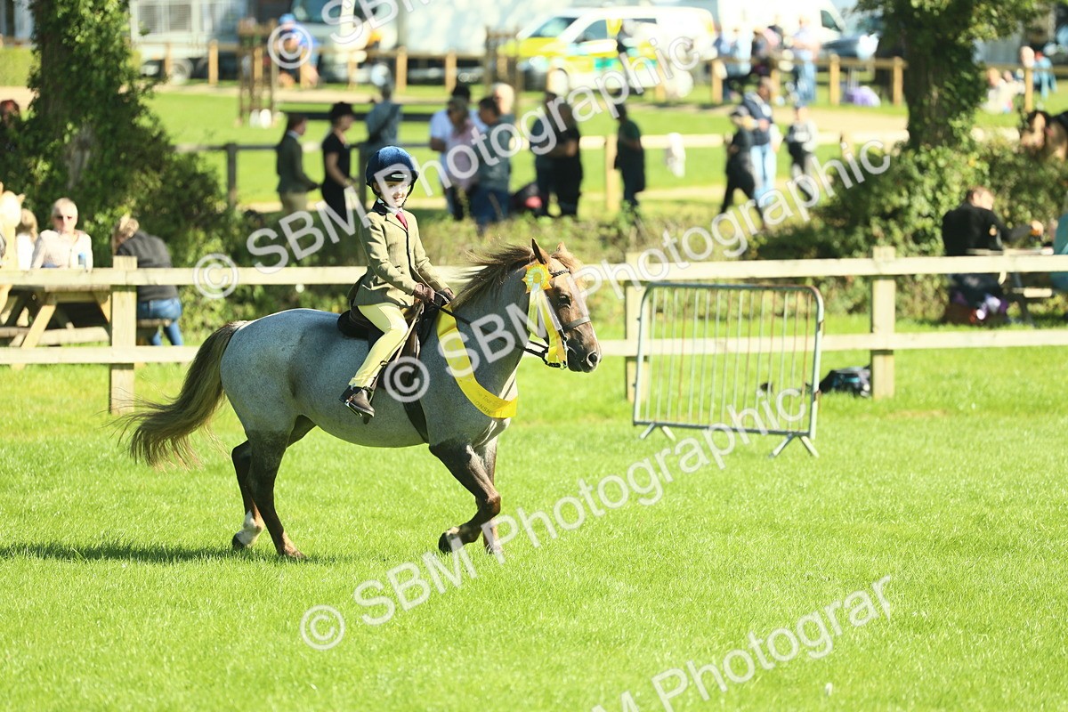 SBM_39104 - S29 - Novice & Newcomers Working Hunter Pony