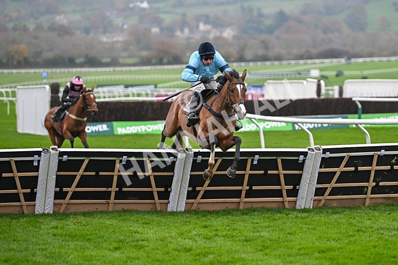 151124-Race 5-Valgrand-8443 - Race 5