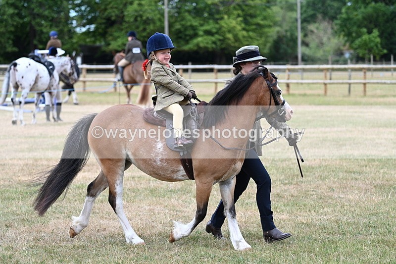 WJ7_9798 - Class 1 Lead Rein Pony
