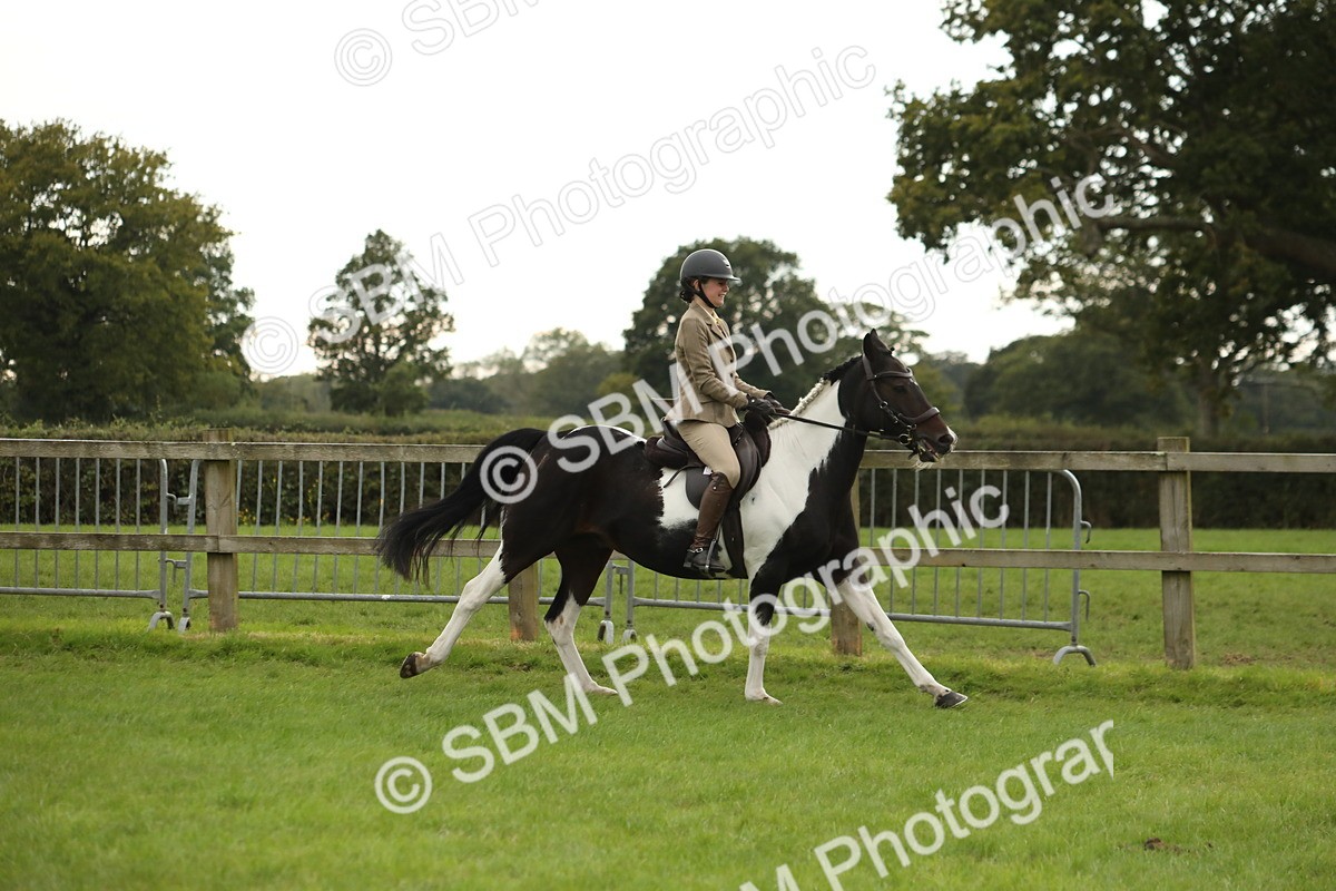 SBM_73891 - S41 - Ridden Equitation (Best Rider)