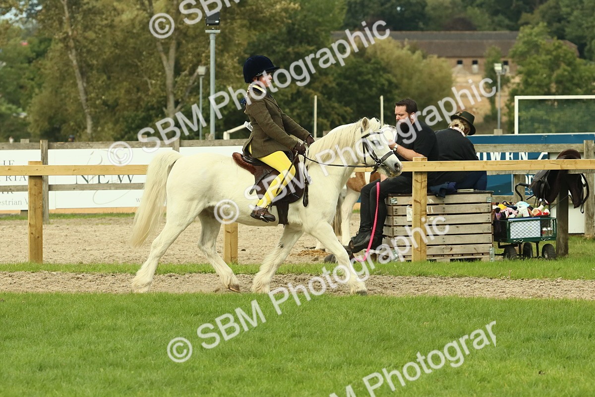 SBM_69903 - S59 - Mountain & Moorland Ridden Small Breeds