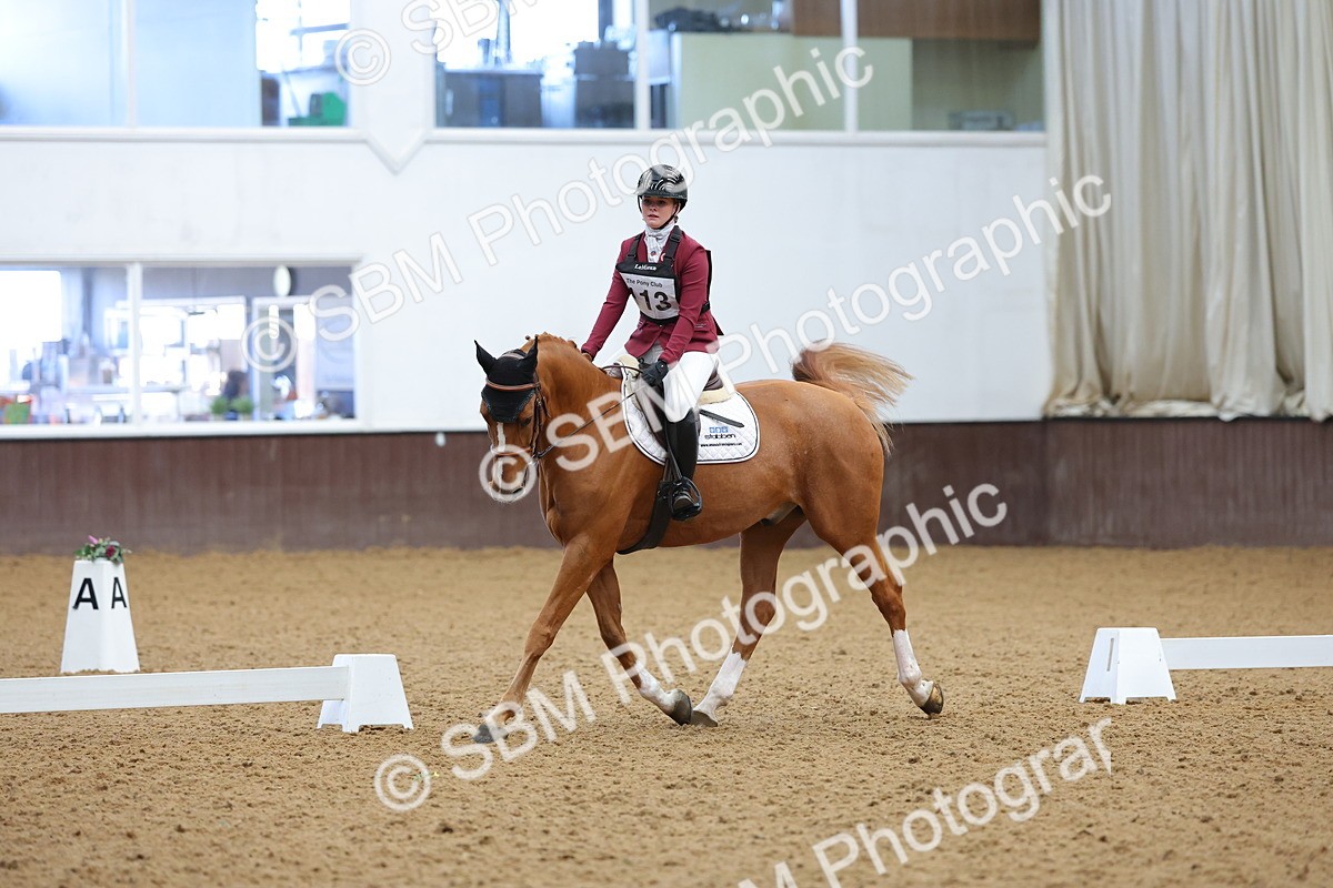 SBM_002639 - Novice