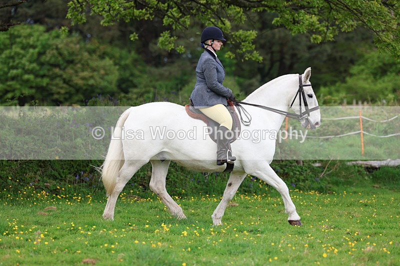 3E7A1107 - Class 7: Ridden Hunter Type