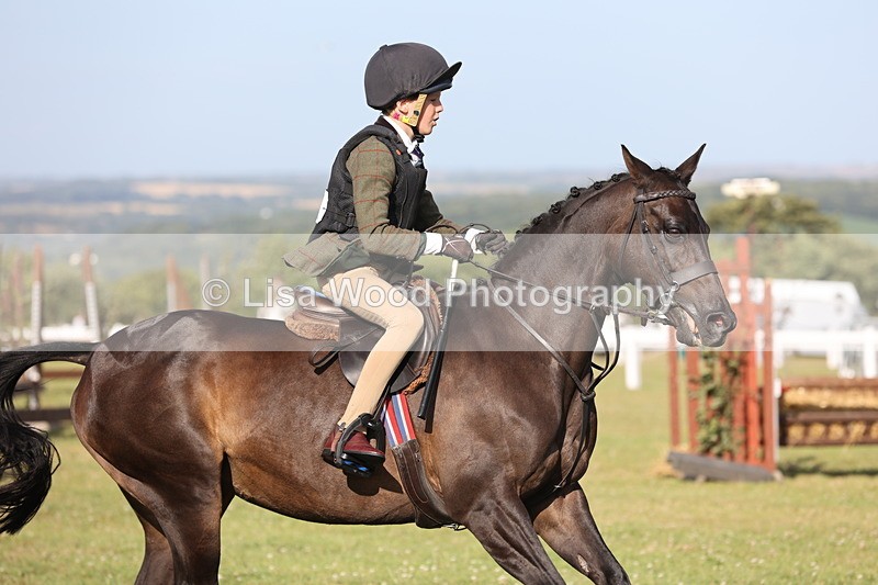 JPP_3242 - Class 21: Working Hunter 80cm