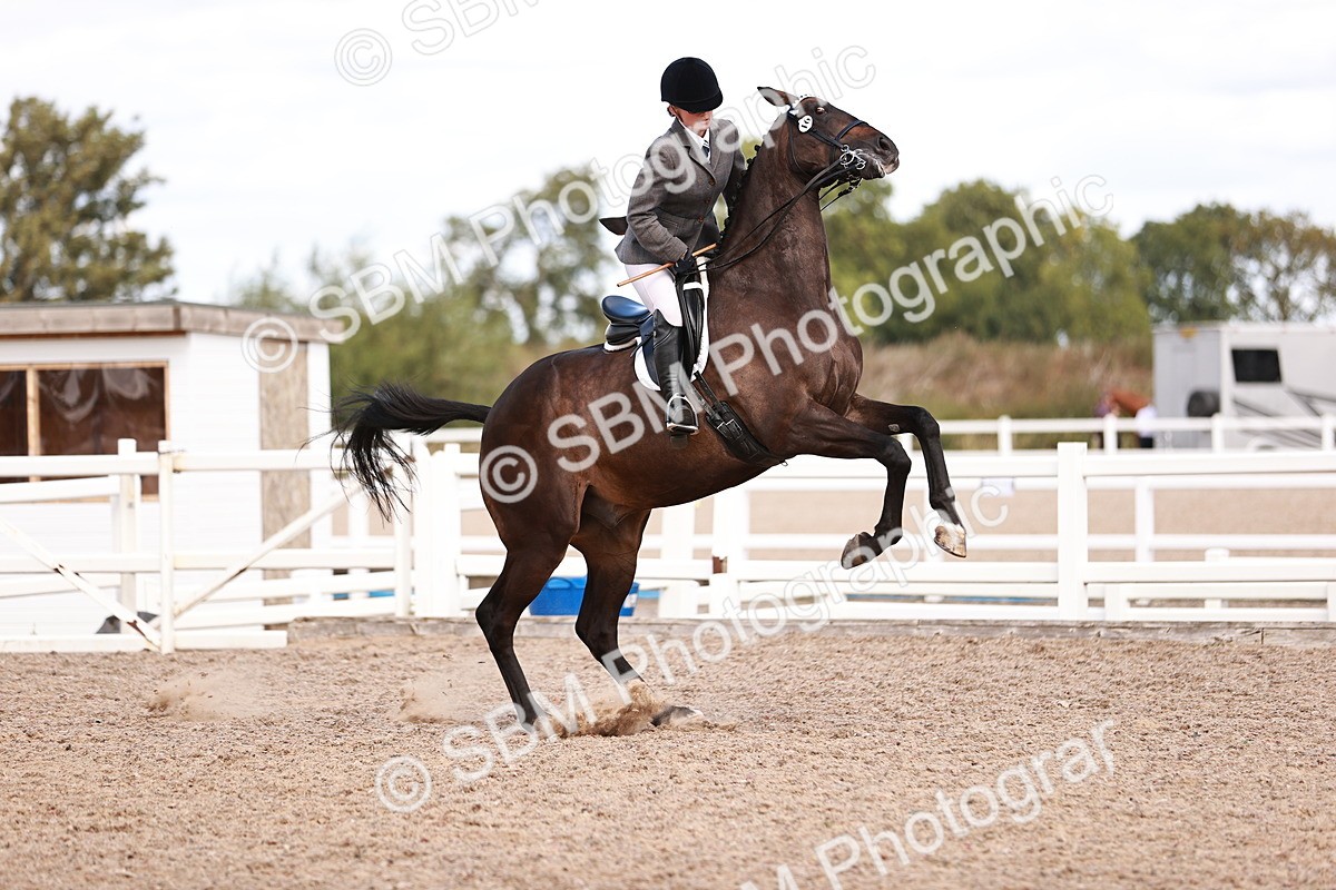 SBM_14465 - Class 410 - Grassroots Ridden - Horse