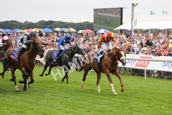 yr23072022r2-27 - Race 2 2.40pm Sky Bet Dash