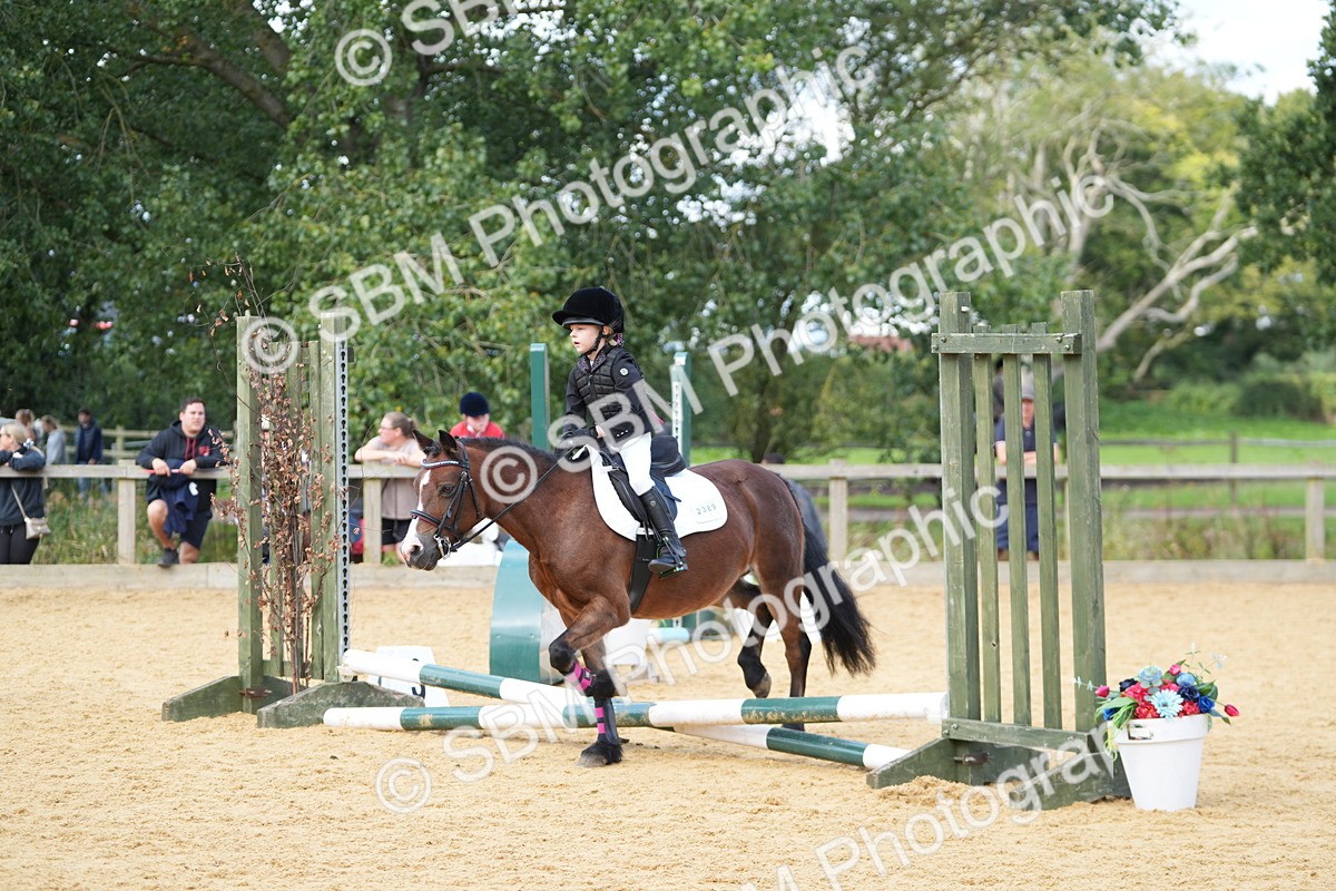 SBM_64442 - J2 - Mini Tour Junior Pony 30cm Championship