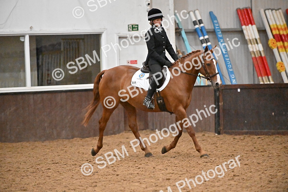 SBM_003012 - Class 37,38 - UKPSAF Performance Horse & Pony