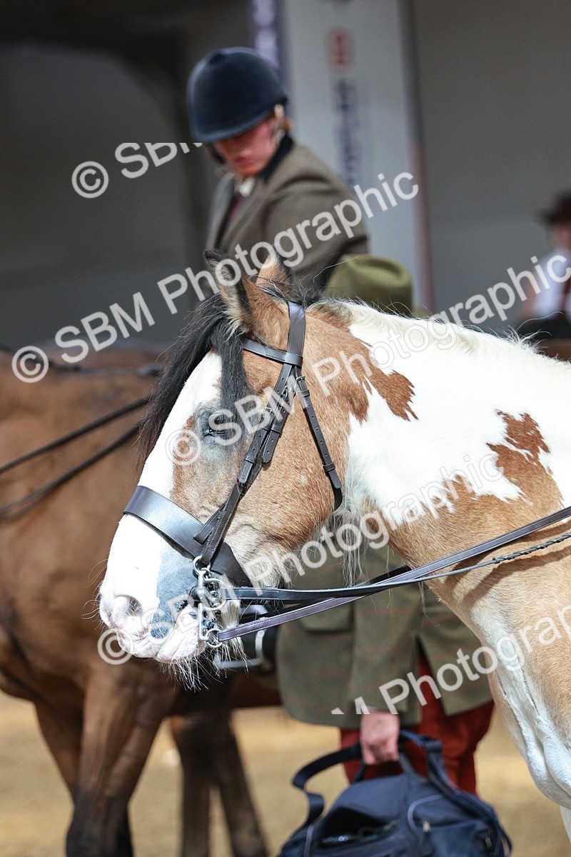 SBM_07051 - Class 10R - Regional Ridden Diamond