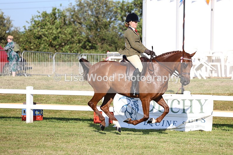 3E7A5087 - Class 1: Rising Star Small Hack/Riding Horses