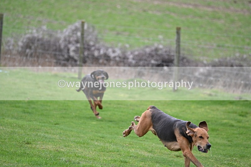 WJ6_8972 - Line Three